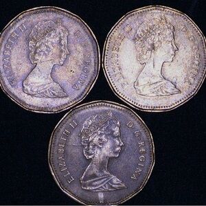 Set of Canada Lunies Naturally Toned Dollar Coins with Errors
